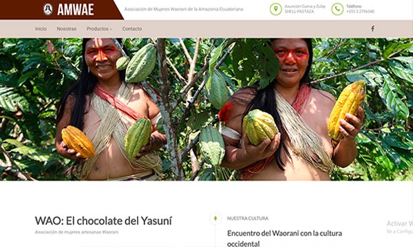 amwae páginas web con buen diseño